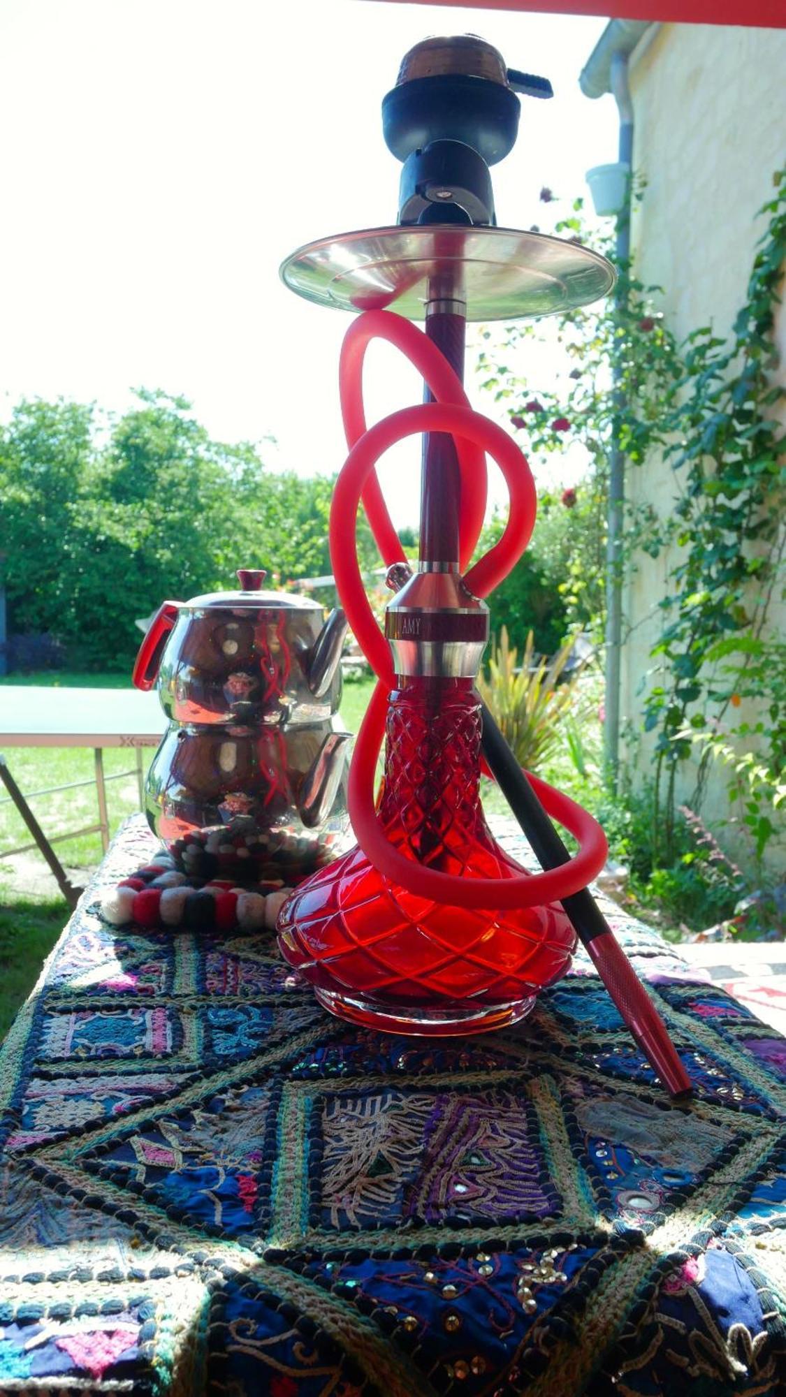Les Jardins D'Ispahan Prignac-et-Marcamps Exteriér fotografie